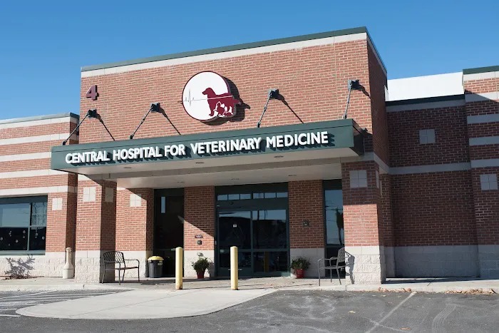 Central Hospital For Veterinary Medicine Picture 3