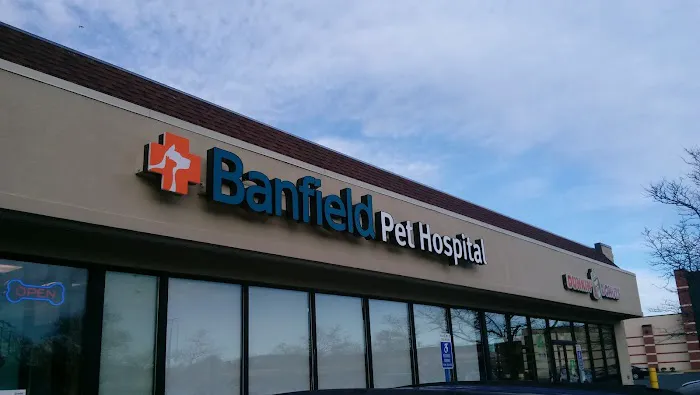 Banfield Pet Hospital Picture 4