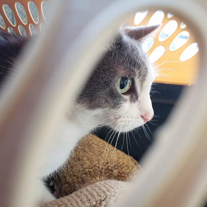 Banfield Pet Hospital Picture 5