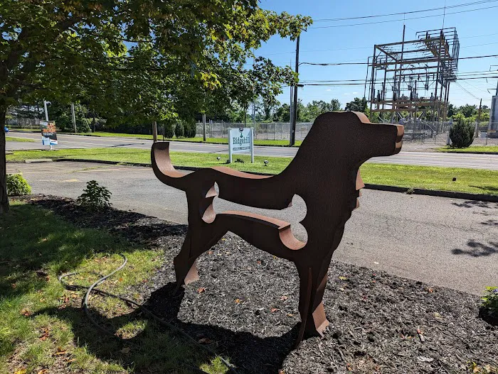 Ridgehill Animal Hospital Picture 5