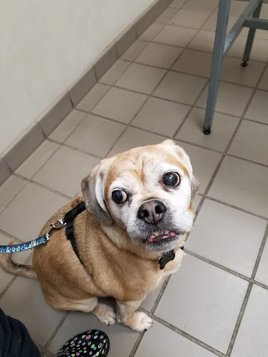 Ridgehill Animal Hospital Picture 4