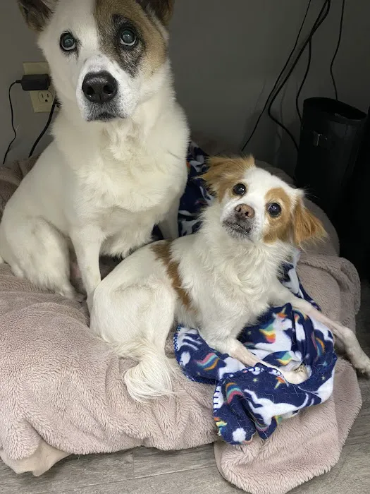Ridgehill Animal Hospital Picture 1