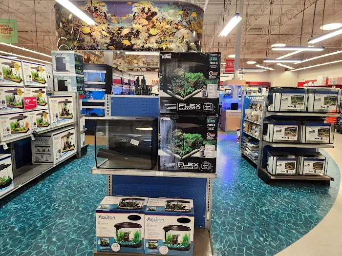 Petco Picture 4