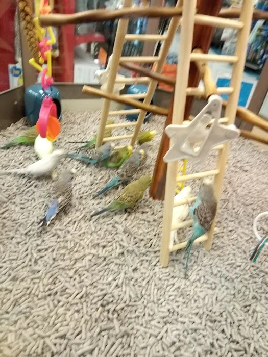 Petco Picture 5