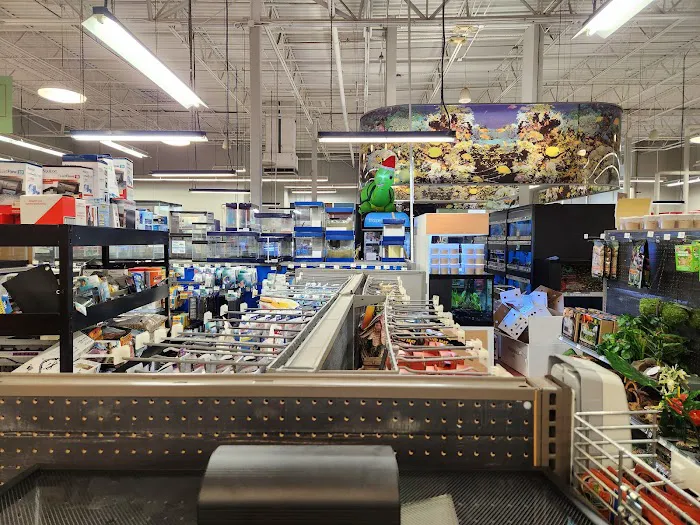 Petco Picture 3