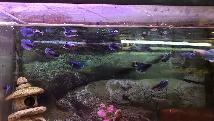 Boiling Springs Pet World Picture 4