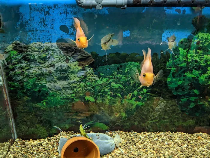 Boiling Springs Pet World Picture 3