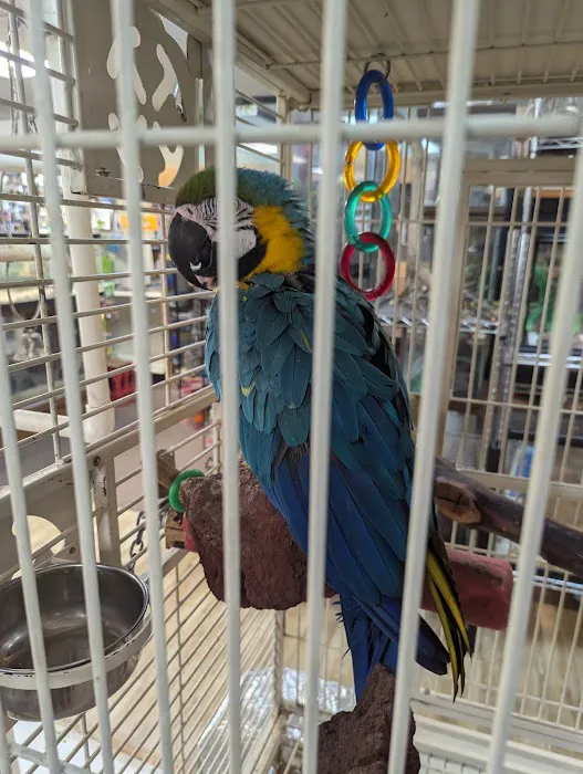 Boiling Springs Pet World Picture 1
