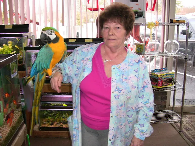 Boiling Springs Pet World Picture 5