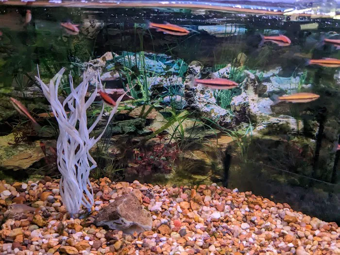 Boiling Springs Pet World Picture 2