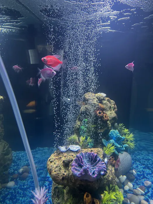 Z Fishroom Picture 2