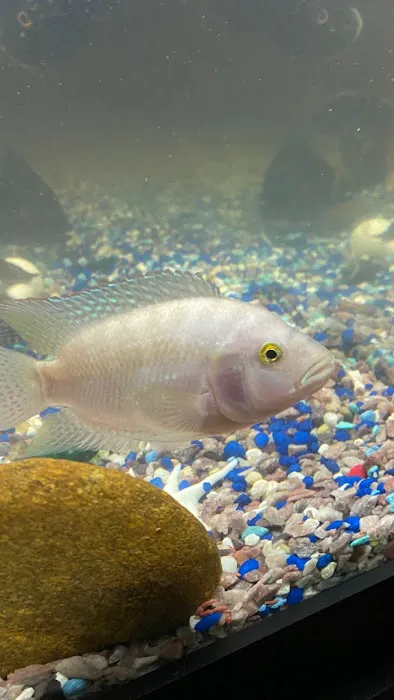 Z Fishroom Picture 7