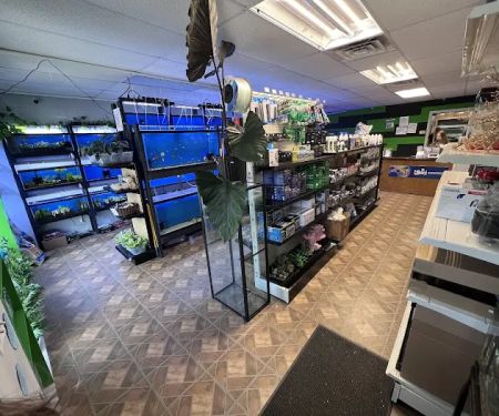 Z Fishroom
