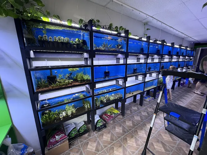 Z Fishroom Picture 4