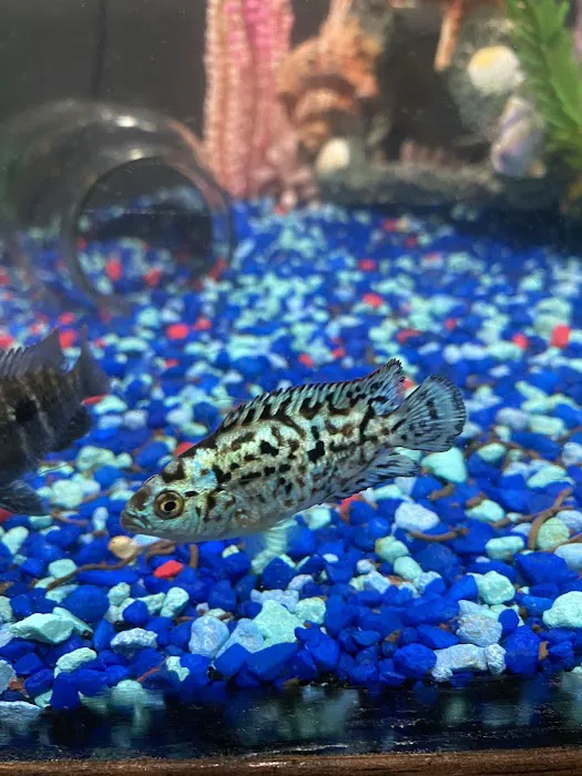 Z Fishroom Picture 9