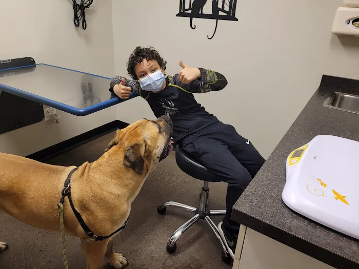 Veterinary Wellness Center of New Haven Picture 3