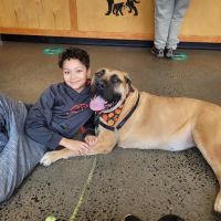 Veterinary Wellness Center of New Haven ico