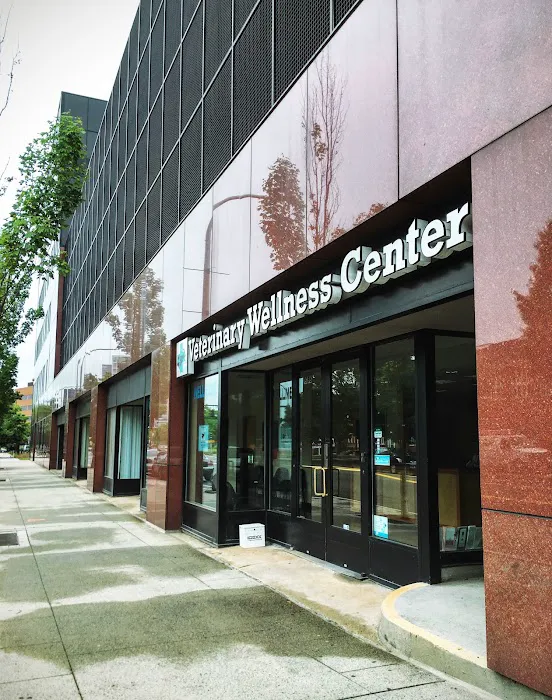 Veterinary Wellness Center of New Haven Picture 5