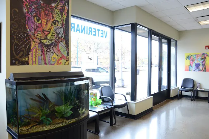 Veterinary Wellness Center of New Haven Picture 4