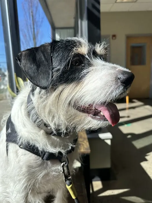 Veterinary Wellness Center of New Haven Picture 7