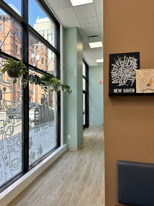 Elm City Vet Picture 10