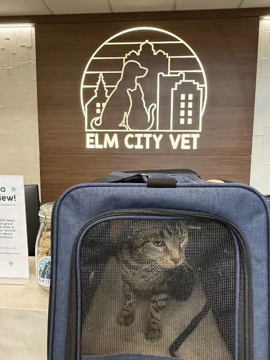 Elm City Vet Picture 3