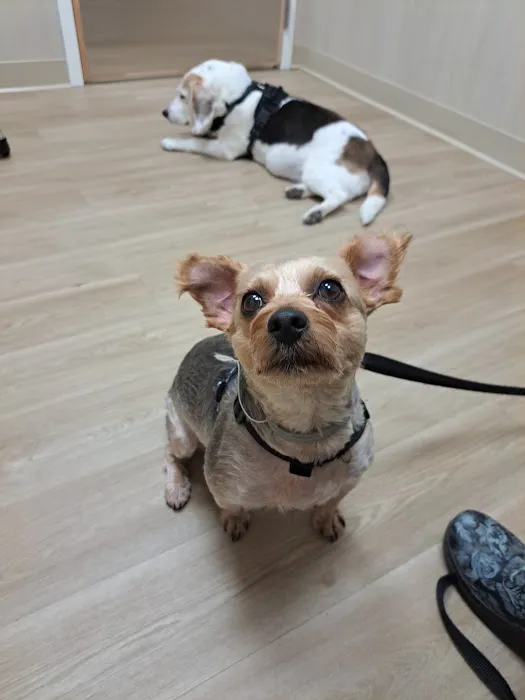 Elm City Vet Picture 4