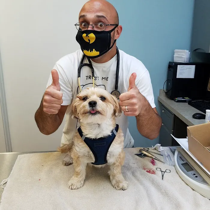 Spring Glen Veterinary Clinic Picture 5