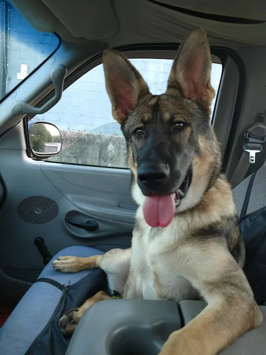 A Pet U Bet Picture 6