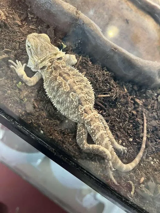 A Pet U Bet Picture 2