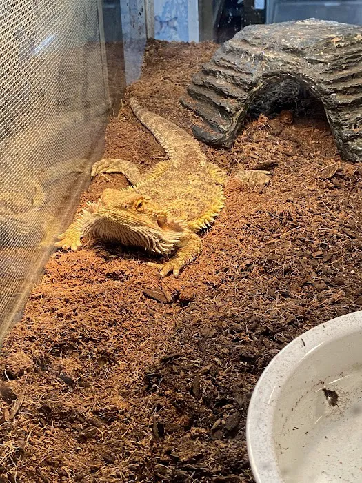 A Pet U Bet Picture 10