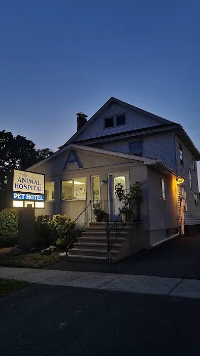 Angel Animal Hospital Picture 10