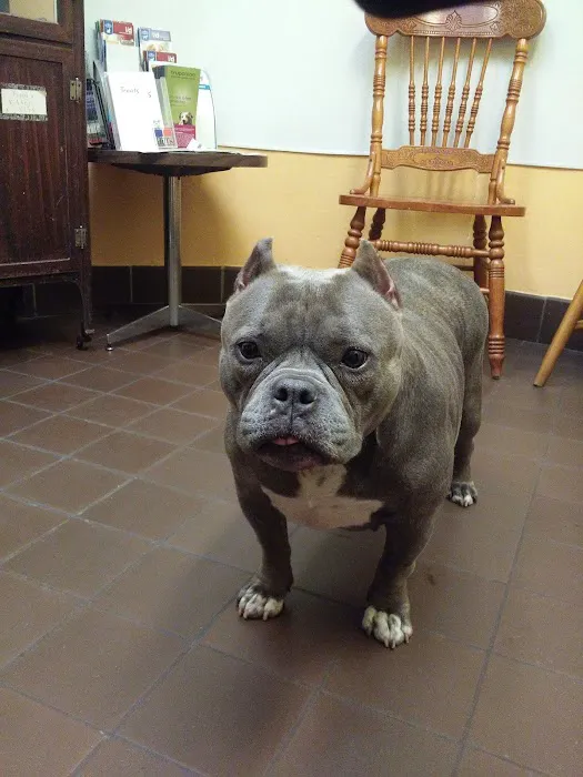 West Haven Animal Clinic Picture 7