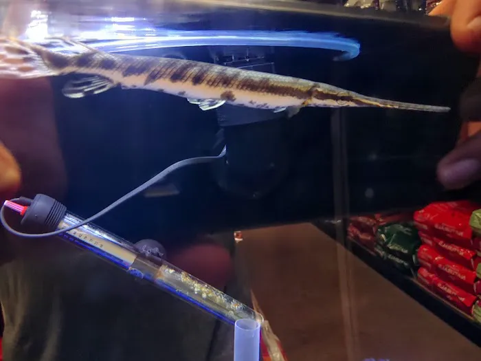 Custom Aquariums by Design Inc Picture 1