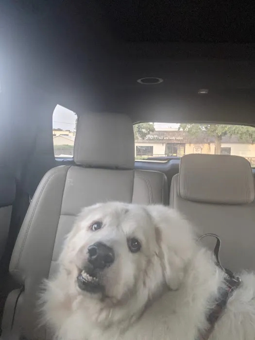 Mission Pet Mart, Inc. Picture 4