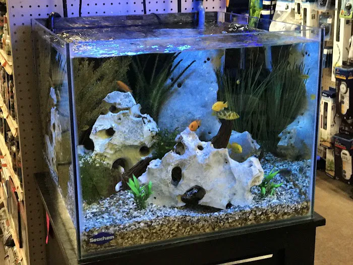 Mission Pet Mart, Inc. Picture 6