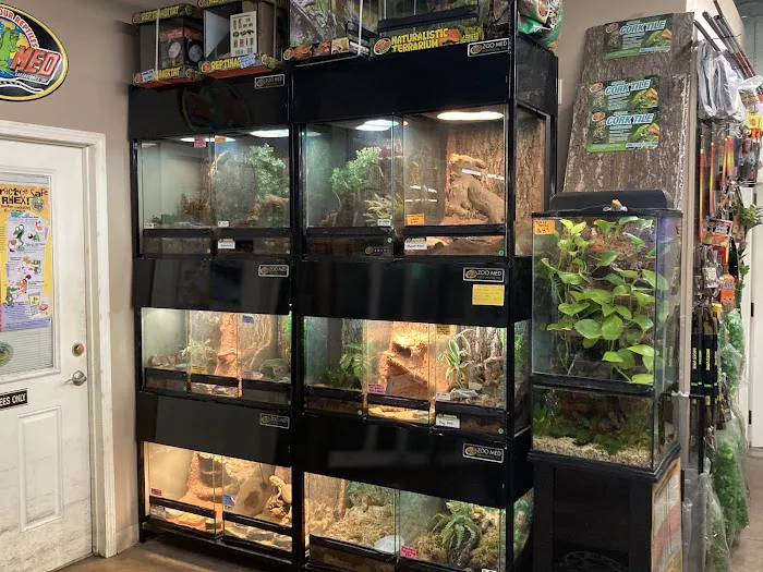 Mission Pet Mart, Inc. Picture 5