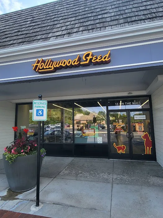 Hollywood Feed Picture 8
