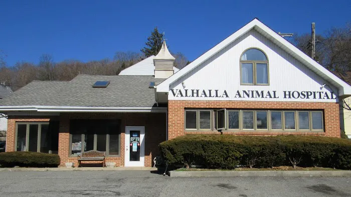 Valhalla Animal Hospital Picture 8