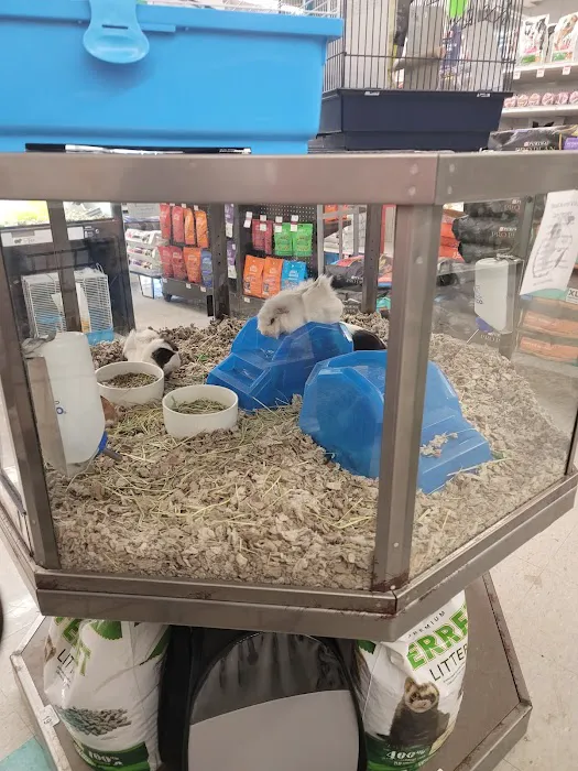 Petco Picture 4