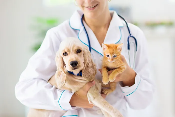 Hillsdale Animal Hospital Picture 2