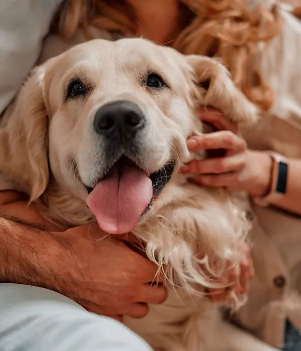 Hillsdale Animal Hospital Picture 10