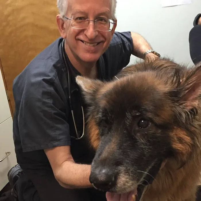 Hillsdale Animal Hospital Picture 5