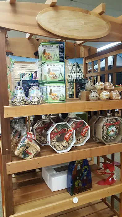 Wild Bird House Picture 6