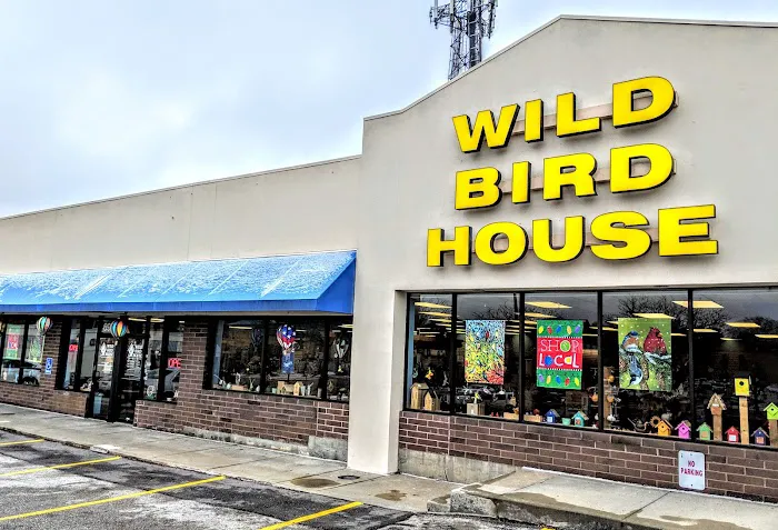 Wild Bird House Picture 9