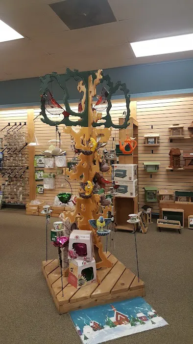 Wild Bird House Picture 7