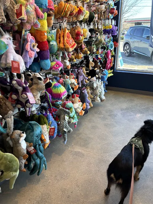 Callie Mae's Picture 1