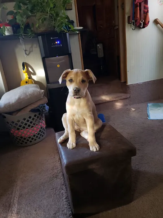 Spay Missouri Spay Kansas Picture 3