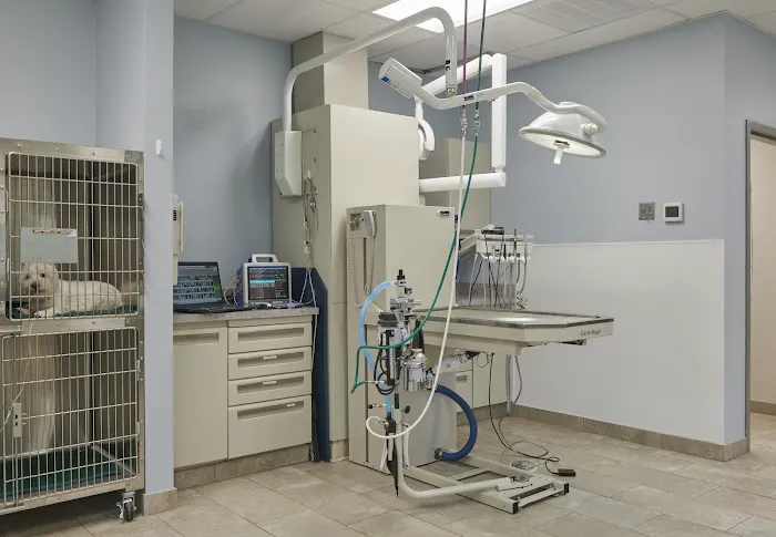 Park Ridge Animal Hospital Picture 7