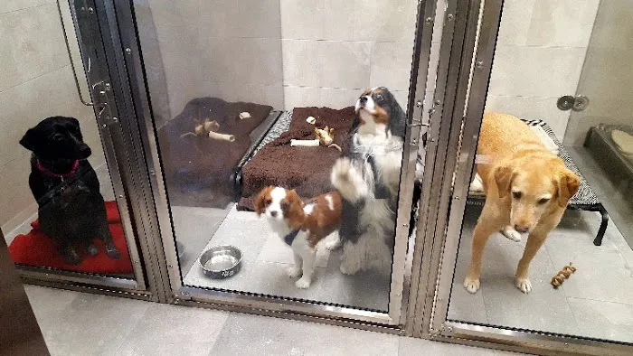 Park Ridge Animal Hospital Picture 3